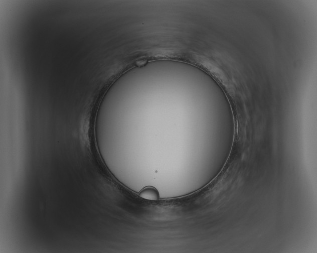X0000101220201200806270931