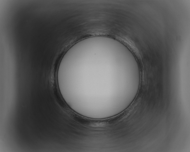 X0000101220202200806270931
