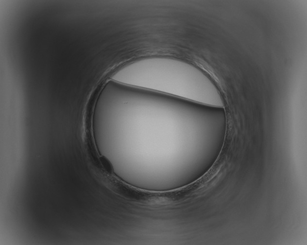 X0000101220203200806270931