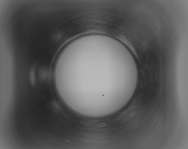 X0000101220204200806270931