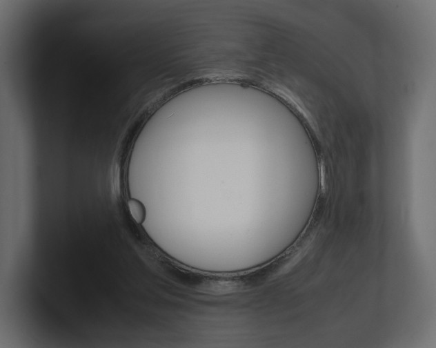 X0000101220205200806270931