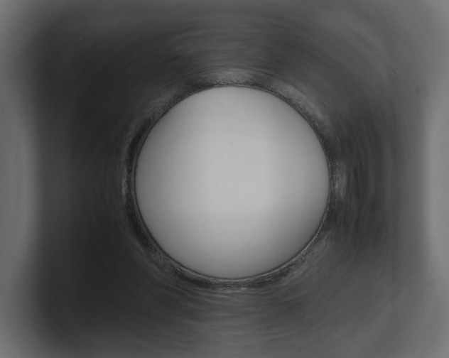 X0000101220206200806270931