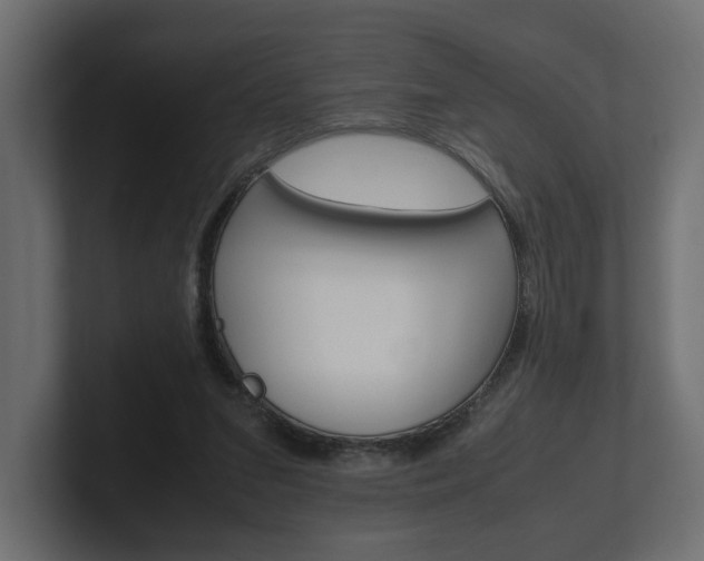 X0000101220207200806270931