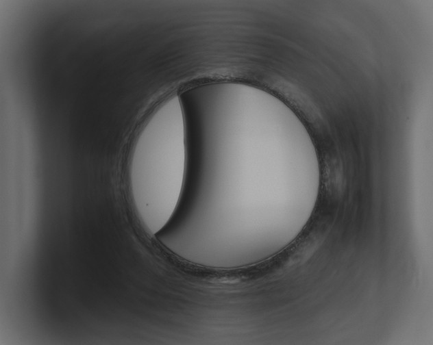 X0000101220208200806270931