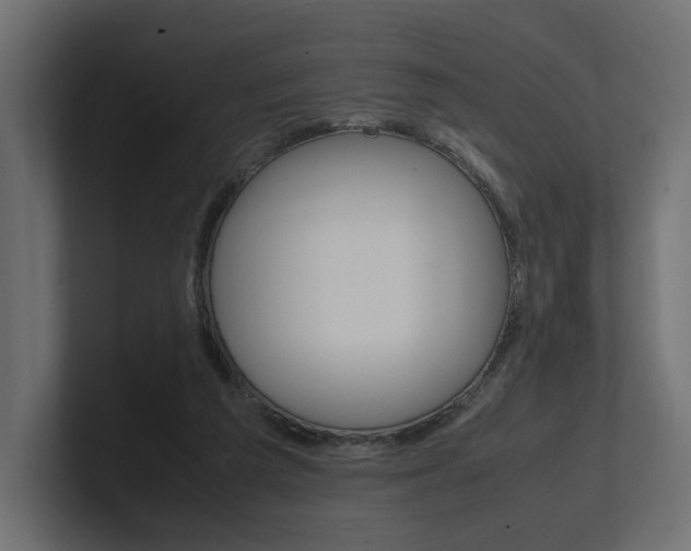 X0000101220209200806270931