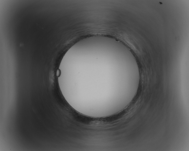 X0000101220211200806270931