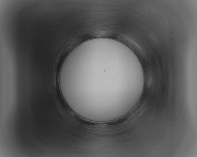X0000101220214200806270931