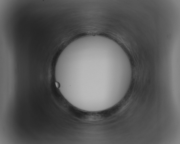 X0000101220215200806270931