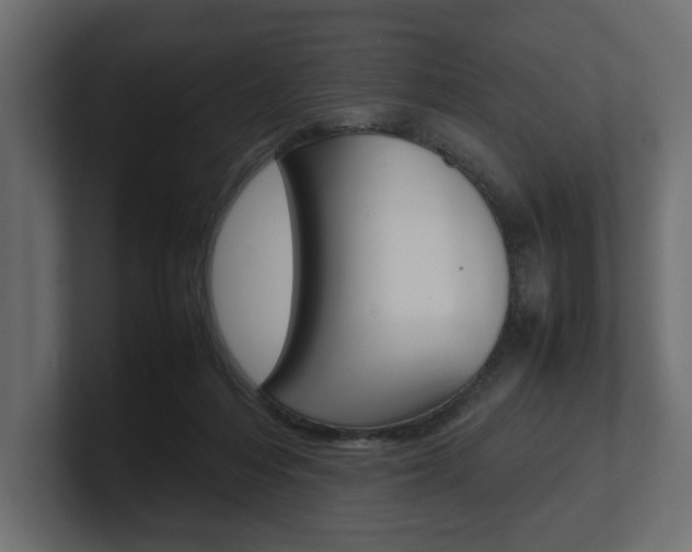 X0000101220216200806270931