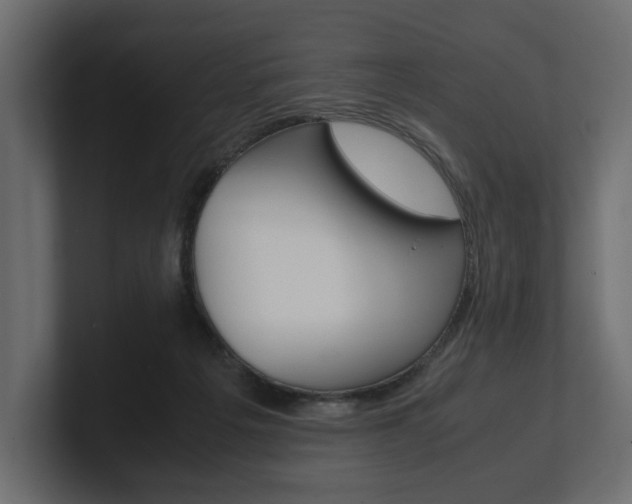 X0000101220217200806270931