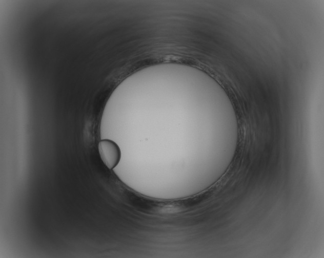 X0000101220218200806270931