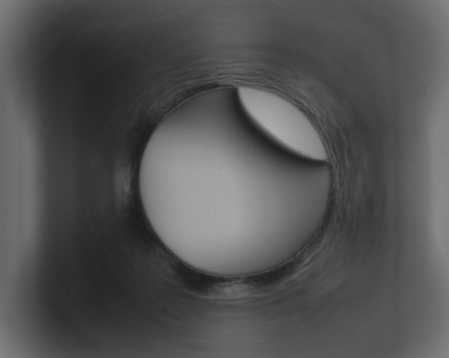 X0000101220219200806270931