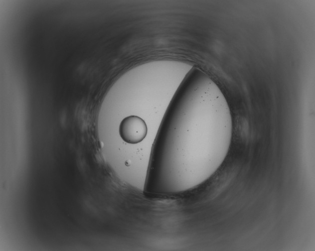 X0000101220220200806270931
