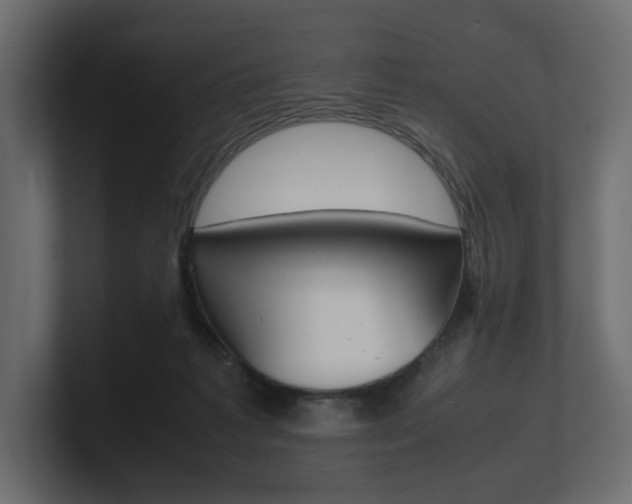 X0000101220221200806270931