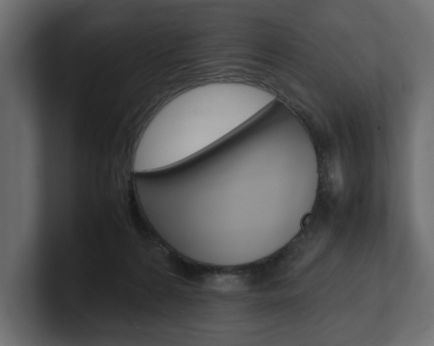 X0000101220224200806270931