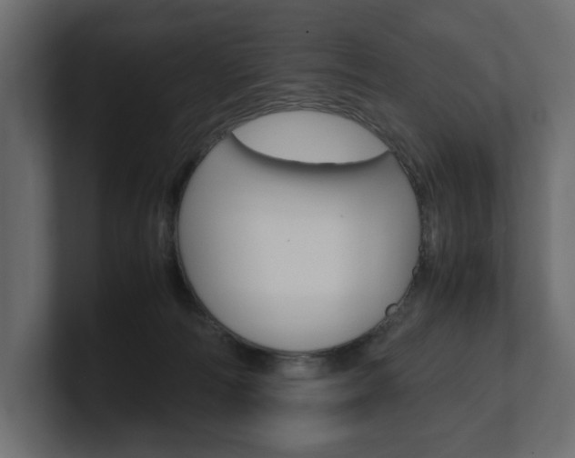 X0000101220226200806270931