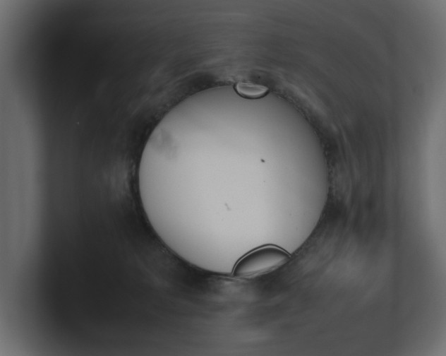 X0000101220229200806270931