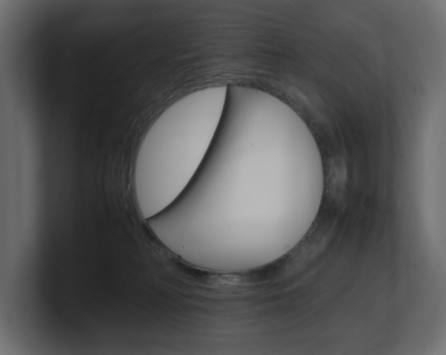 X0000101220230200806270931