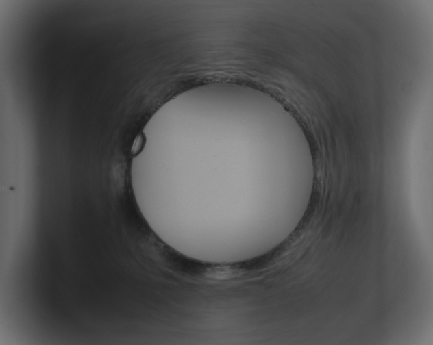 X0000101220231200806270931