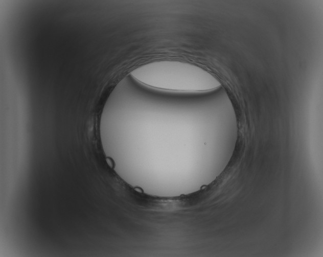 X0000101220233200806270931