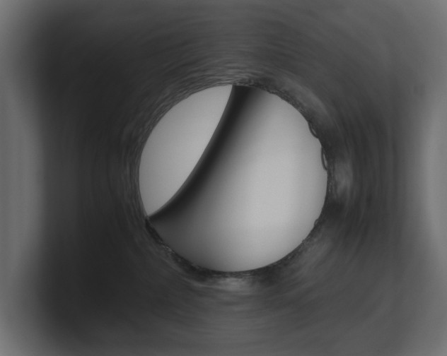 X0000101220236200806270931