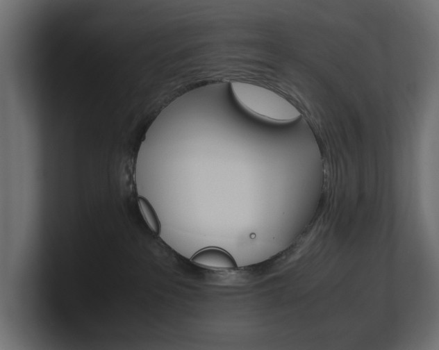X0000101220237200806270931