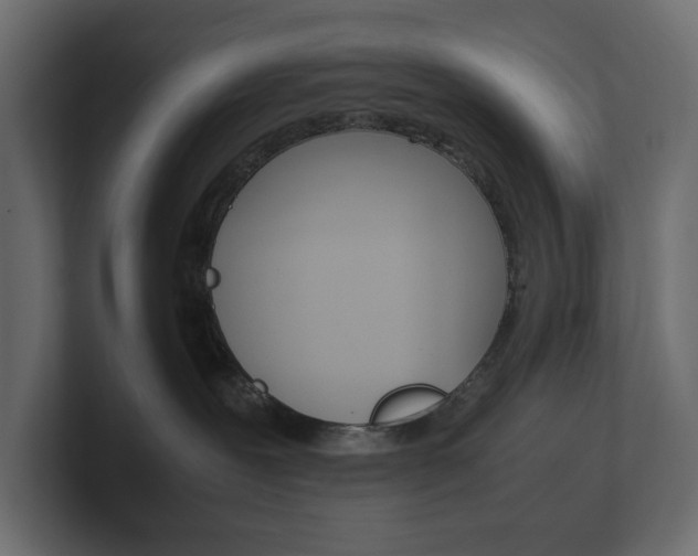 X0000101220239200806270931