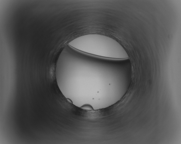 X0000101220240200806270931