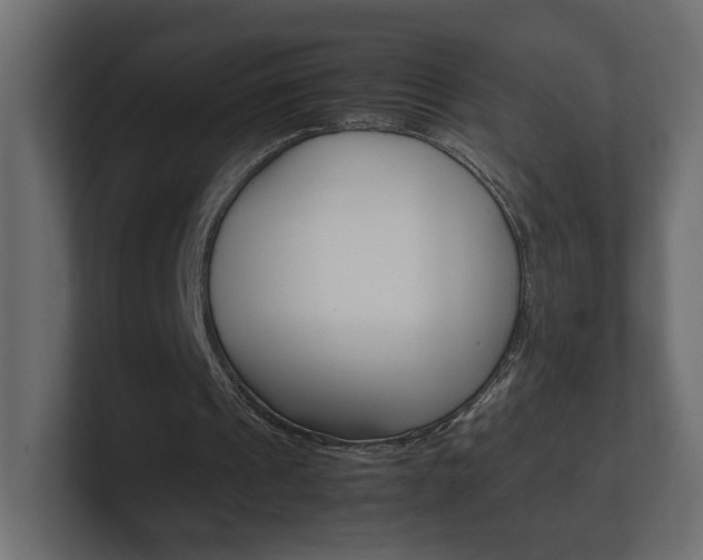 X0000101220241200806270930
