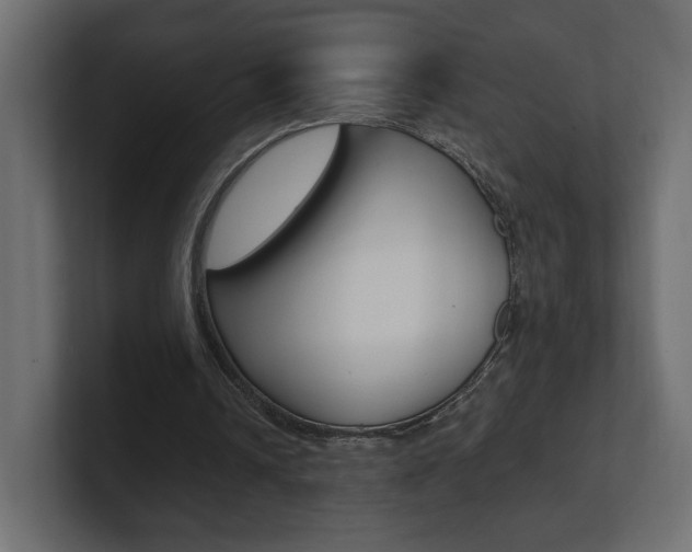 X0000101220242200806270930