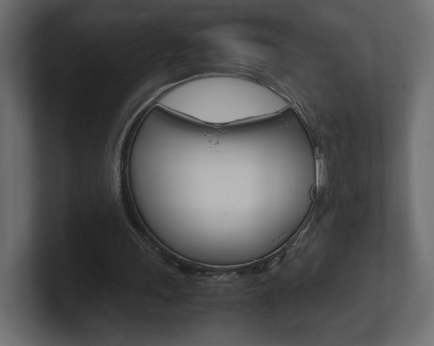 X0000101220243200806270930