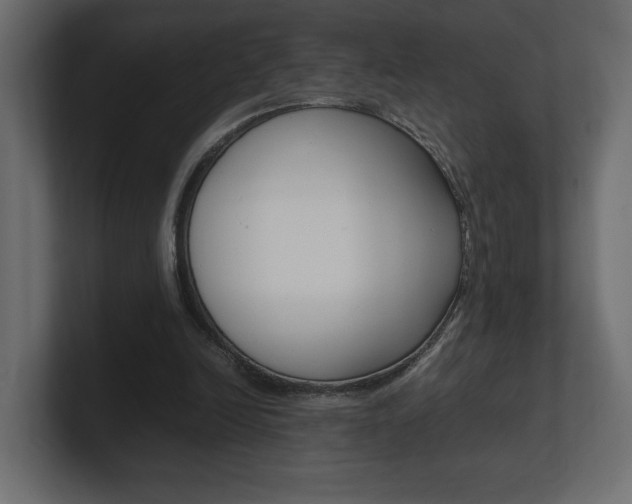 X0000101220246200806270930