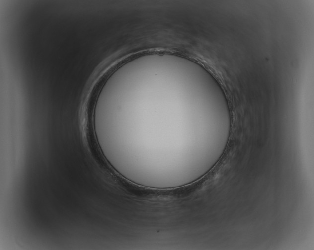 X0000101220247200806270930