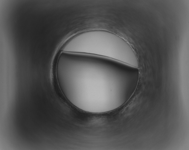 X0000101220248200806270930