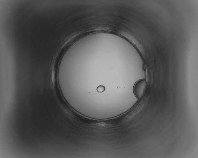 X0000101220253200806270930