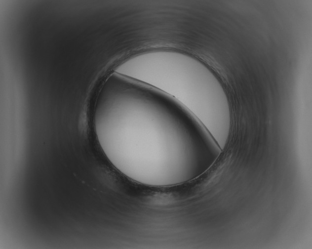 X0000101220256200806270931
