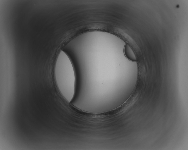 X0000101220261200806270931