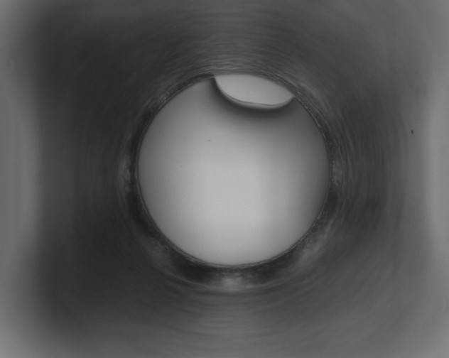 X0000101220264200806270931