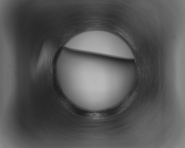 X0000101220265200806270931