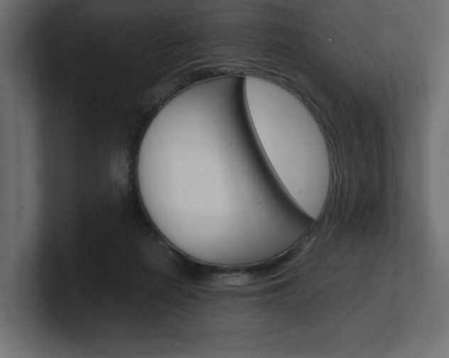 X0000101220266200806270931