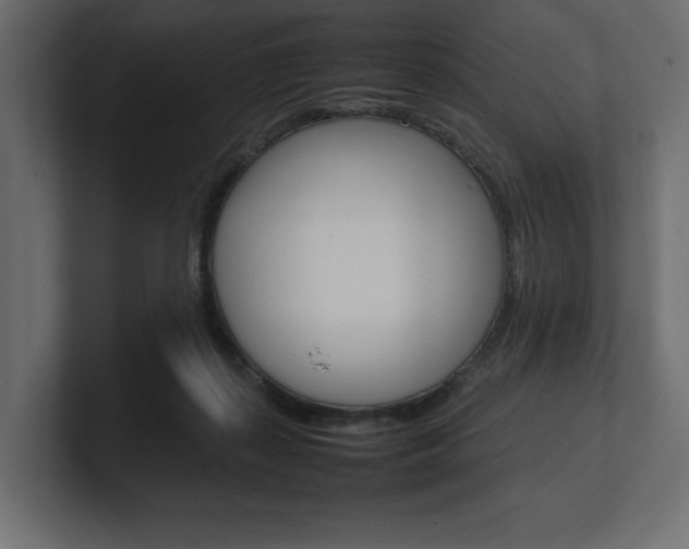X0000101220267200806270931
