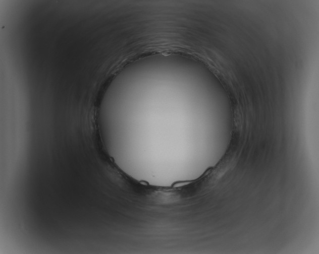 X0000101220280200806270931
