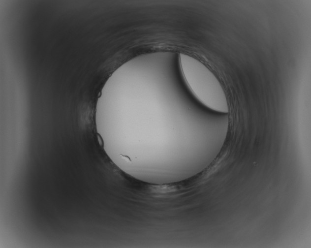 X0000101220281200806270931