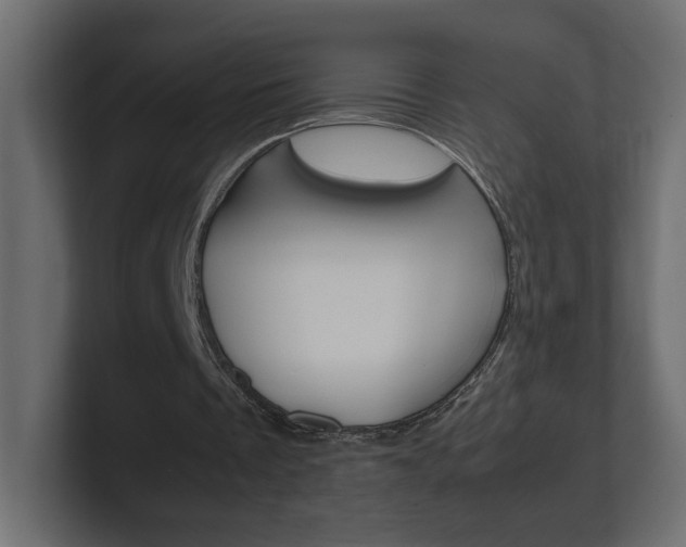 X0000101220289200806270930
