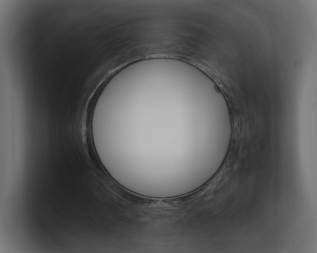 X0000101220290200806270930