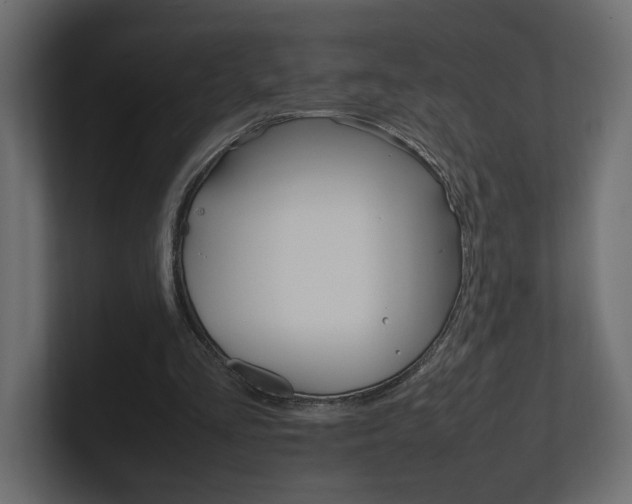 X0000101220293200806270930