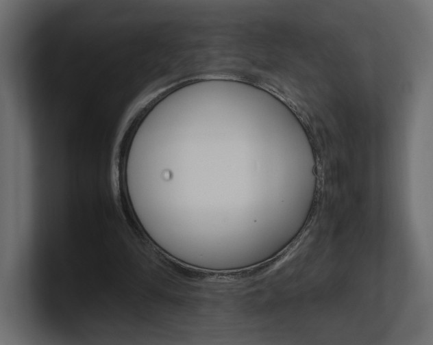 X0000101220294200806270930