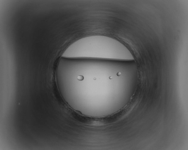 X0000101220308200806270930