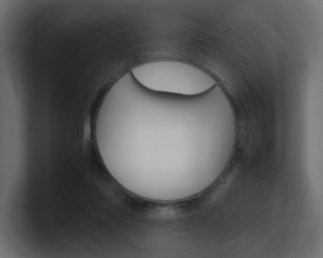 X0000101220310200806270930