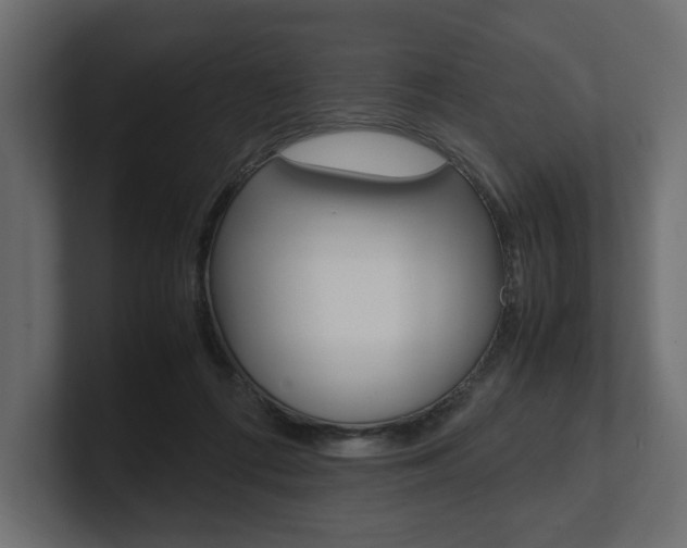 X0000101220312200806270930